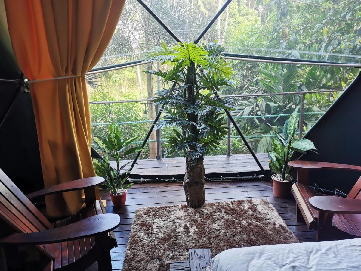 Momotus Glamping Ξενοδοχείο Florencia Εξωτερικό φωτογραφία