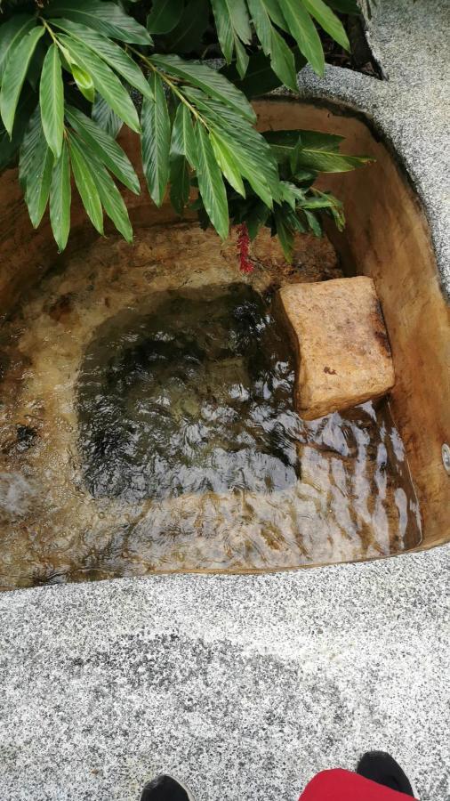 Momotus Glamping Ξενοδοχείο Florencia Εξωτερικό φωτογραφία