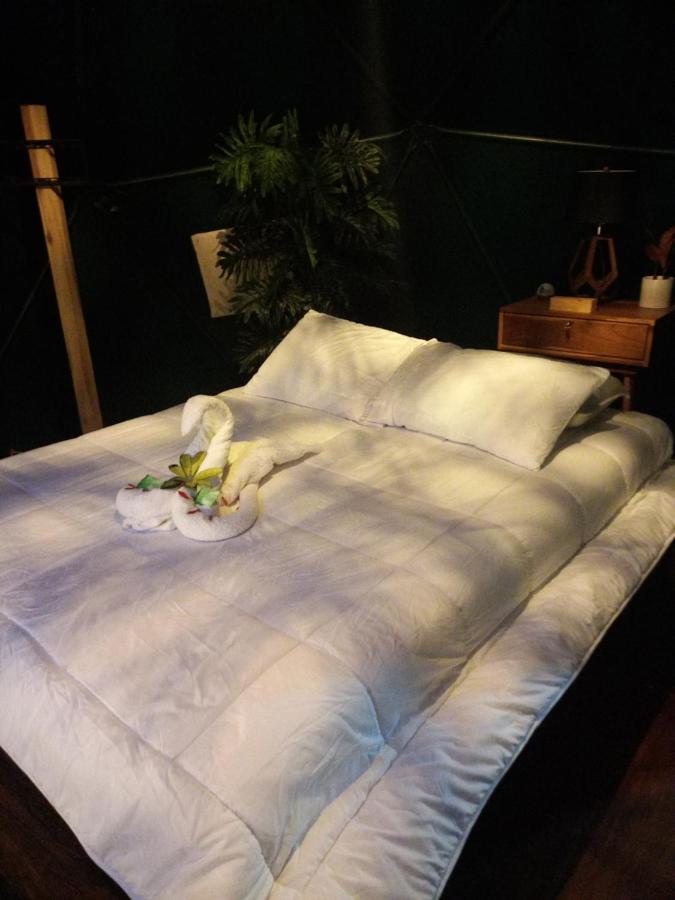 Momotus Glamping Ξενοδοχείο Florencia Εξωτερικό φωτογραφία