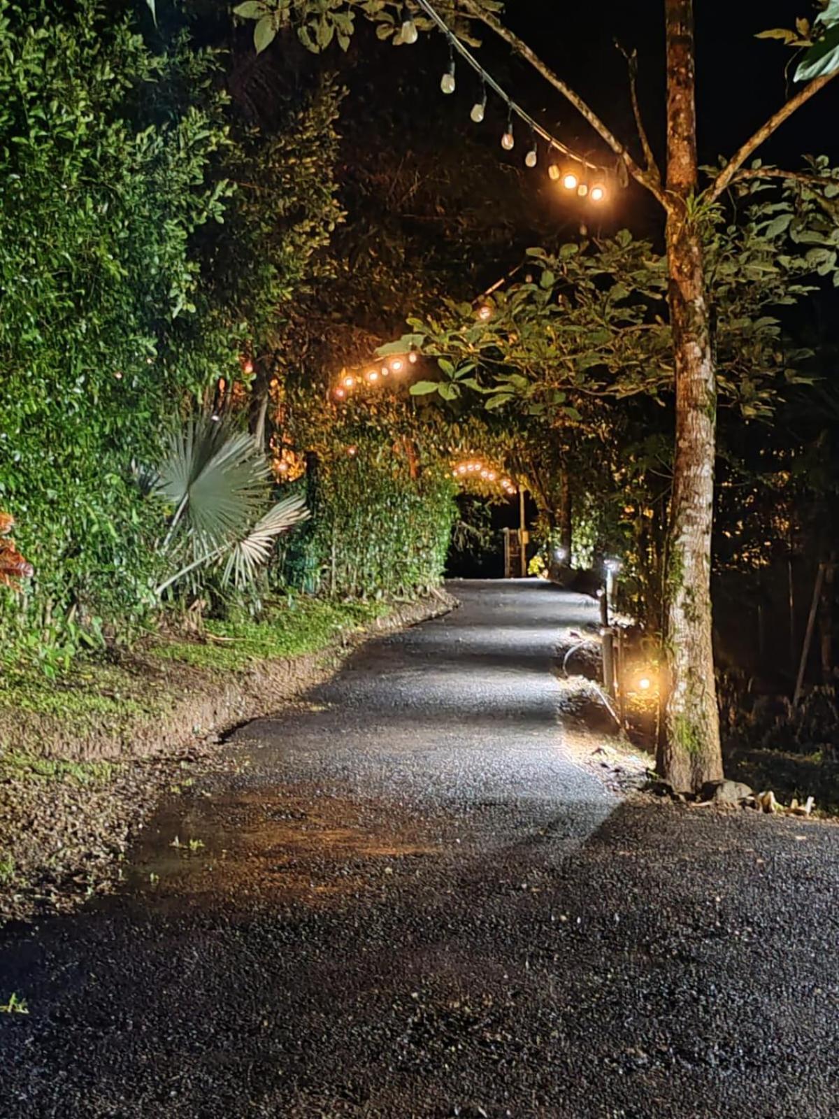 Momotus Glamping Ξενοδοχείο Florencia Εξωτερικό φωτογραφία